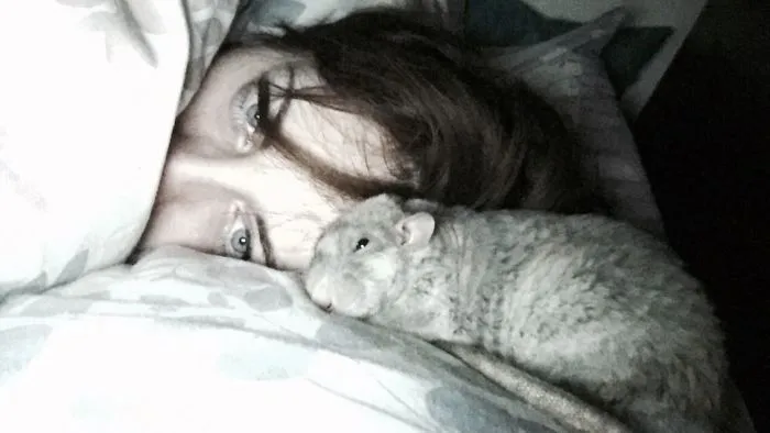 202 Adorable Rat Pics Proving That They Can Be The Cutest Pets Ever