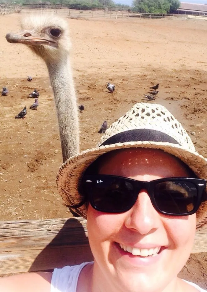 90 Of The Funniest Animal Photobombs Ever