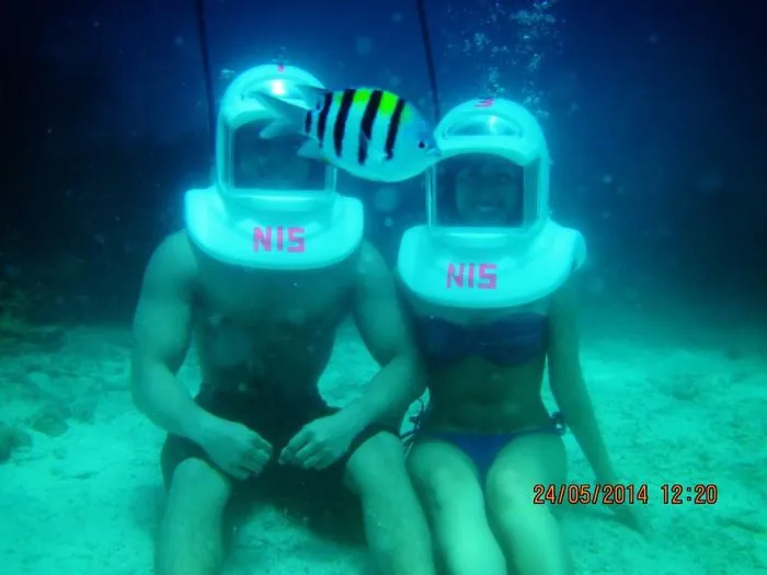 90 Of The Funniest Animal Photobombs Ever