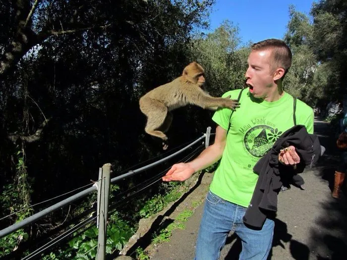 90 Of The Funniest Animal Photobombs Ever