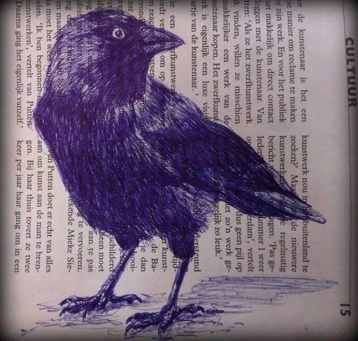 It's Springtime! The Jackdaws Are Nesting In My Chimney Again And They Make A Lot Of Noise