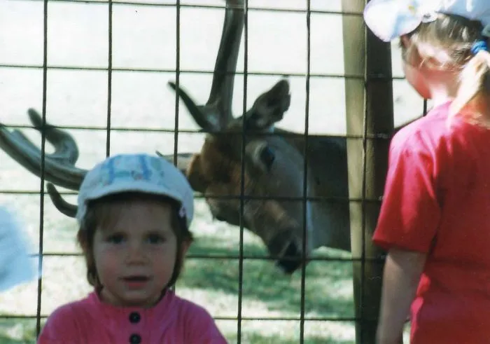 90 Of The Funniest Animal Photobombs Ever