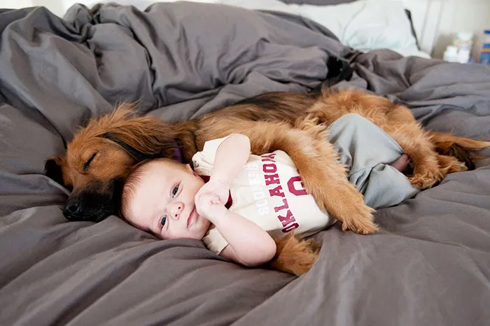 Just My Dog Spooning My Baby