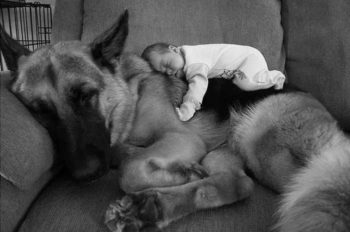 Moose And Squirrel