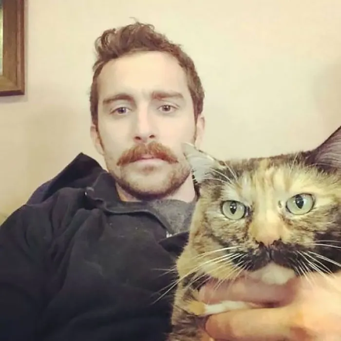 Like Owner Like Cat
