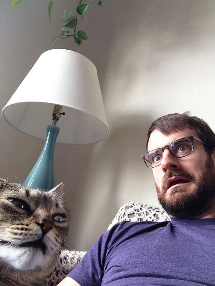Lazy Caturday