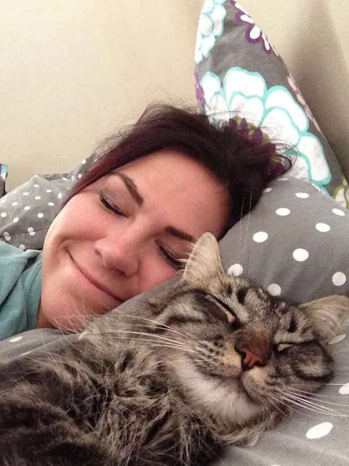 Like Owner Like Cat