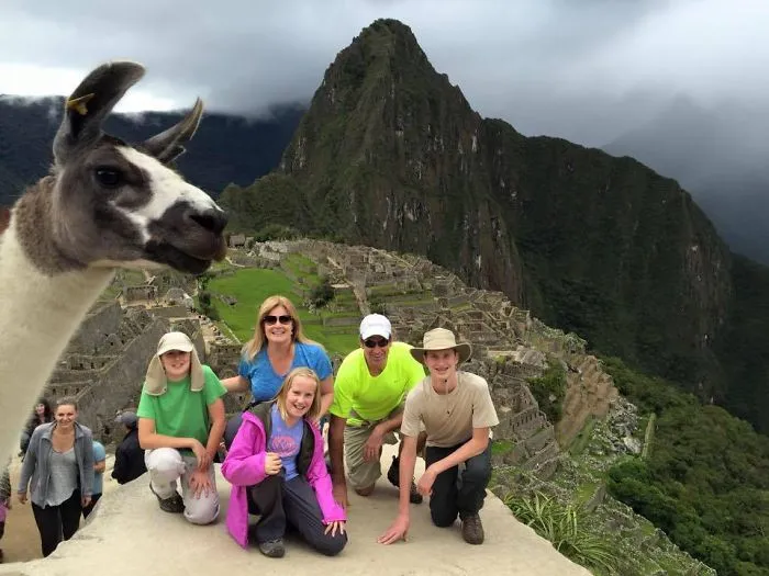 90 Of The Funniest Animal Photobombs Ever