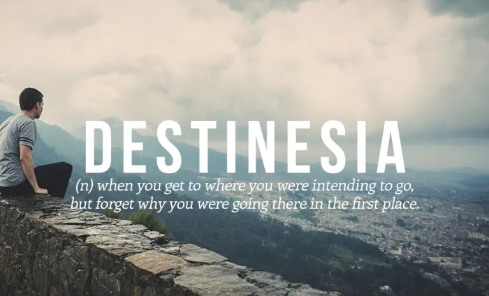 Destinesia