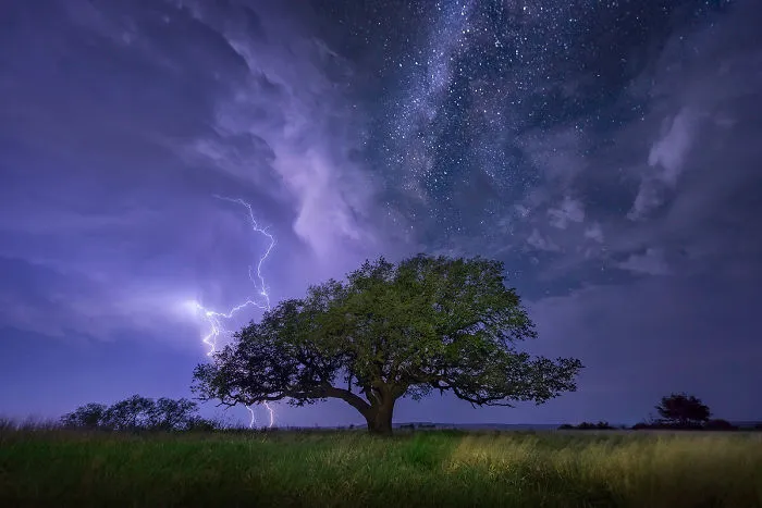 Starry Night Sky