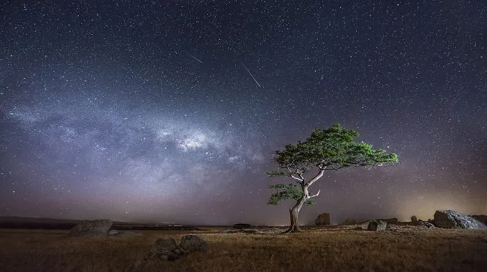 Starry Night Sky