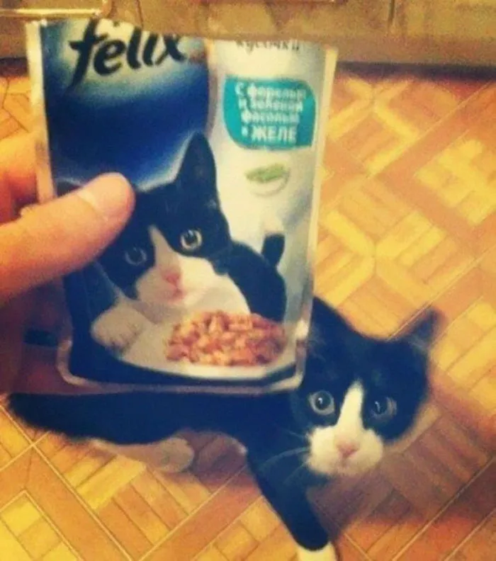 The Real Felix