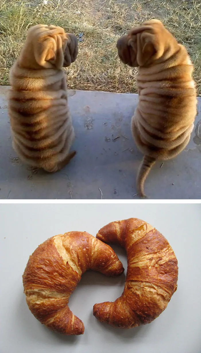 Two Croissants