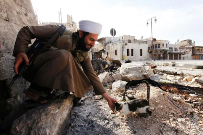 Soldier And A Kitty