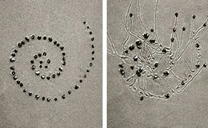 I Collaborated With Snails To Create These Sand Drawings