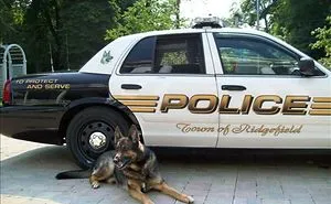 A Touching Tribute To A Hero Named Zeus