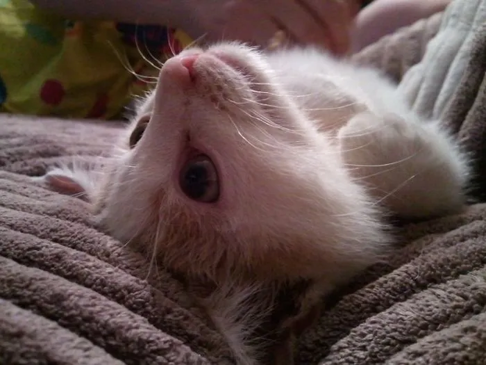 That Madness In His Eyes