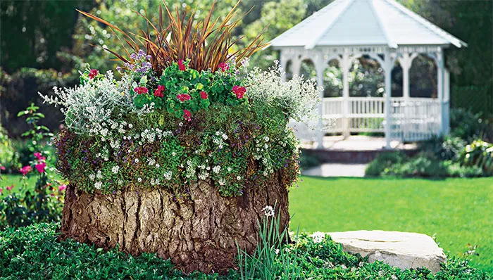 Tree Stump Garden