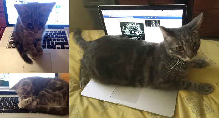 Tyler Still Prefers Grown Up Toys ~ 2 Years Later