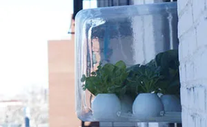 My Window Greenhouse Grows Fresh Vegetables All Year Long