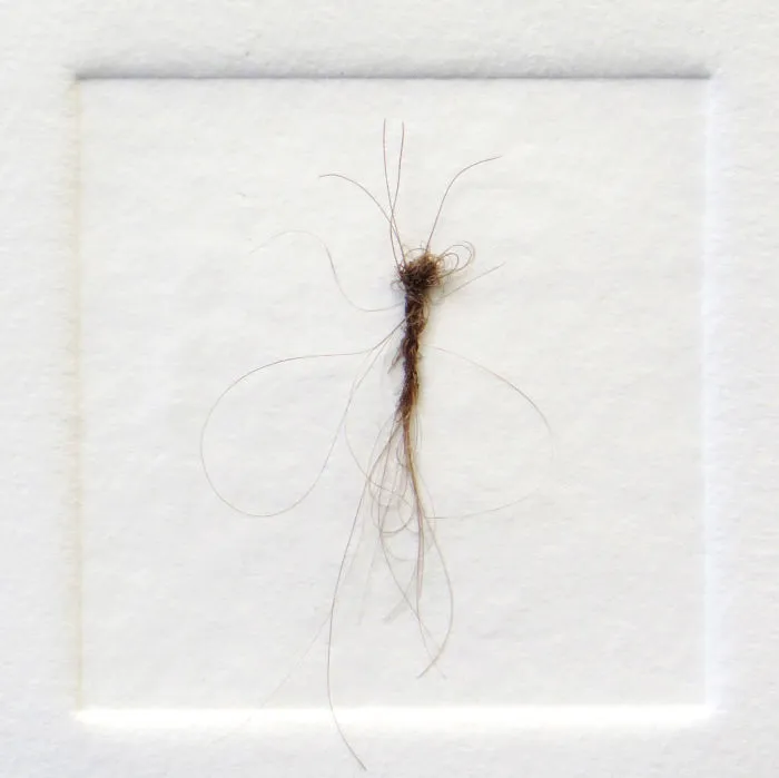 New Biodiversity In My Washing Machine