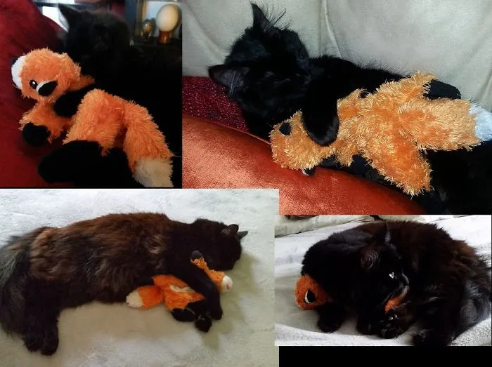 Clara &amp; Foxy-fox   2m - 2yrs