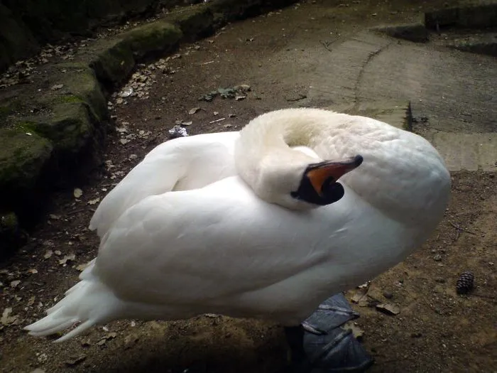 91 Astonished Animals Who Are Freaked Out By What's Happening
