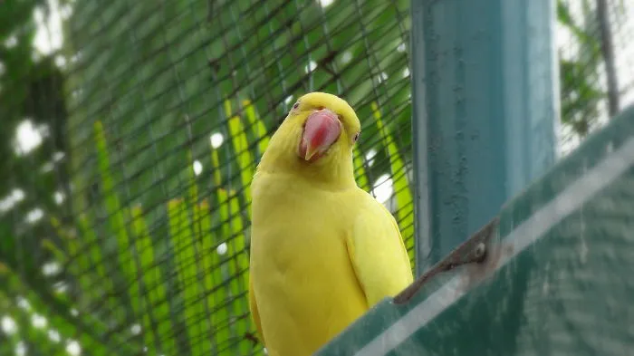 91 Astonished Animals Who Are Freaked Out By What's Happening