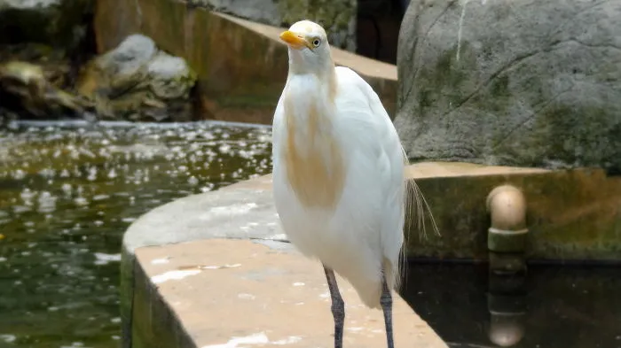 91 Astonished Animals Who Are Freaked Out By What's Happening