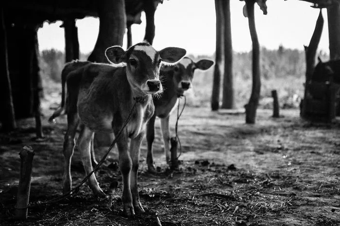 This Photographer Goes To A Village In India And Catches Some Fascinating Reflections