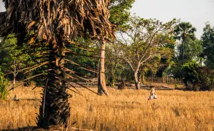 Chasing The Light In Cambodia