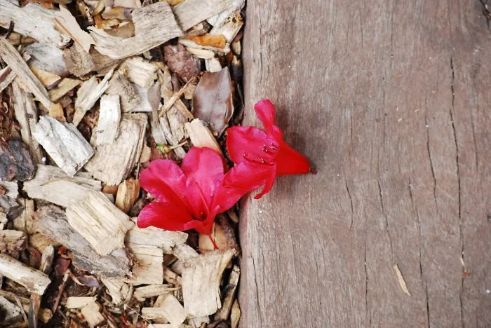 A Simple, New Idea For Photographers Out Of Ideas Or New Places To Go.