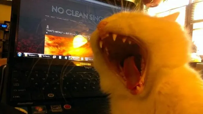 91 Astonished Animals Who Are Freaked Out By What's Happening