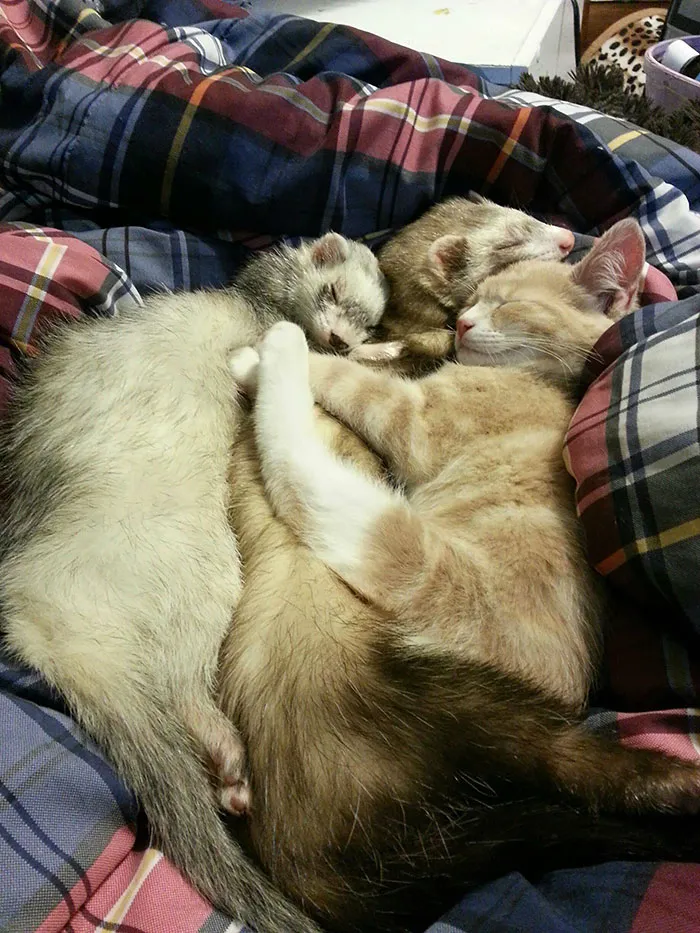 Best Friends