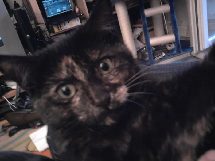 91 Astonished Animals Who Are Freaked Out By What's Happening