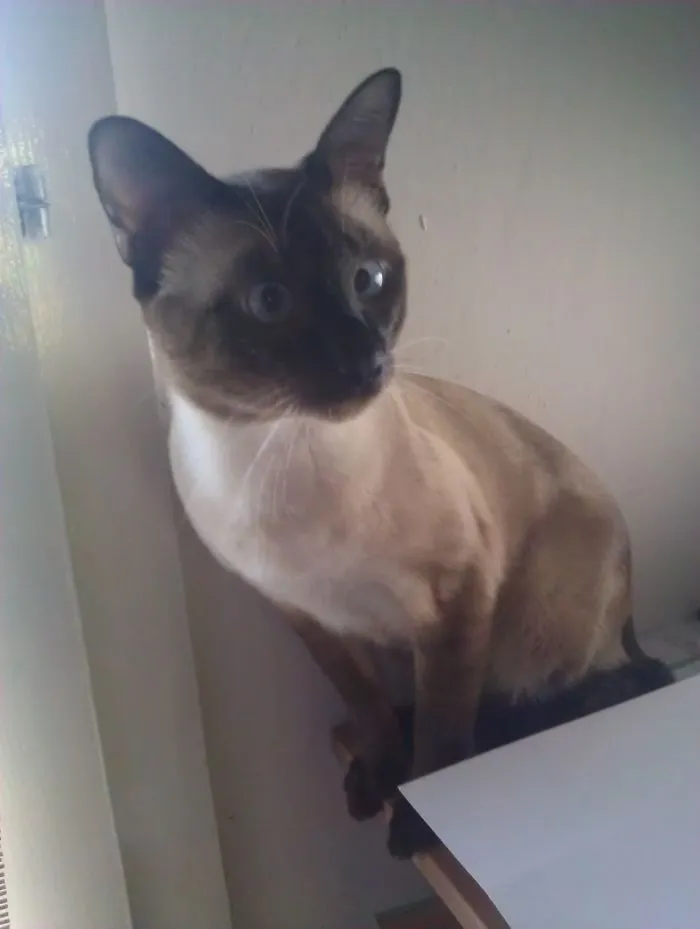 91 Astonished Animals Who Are Freaked Out By What's Happening