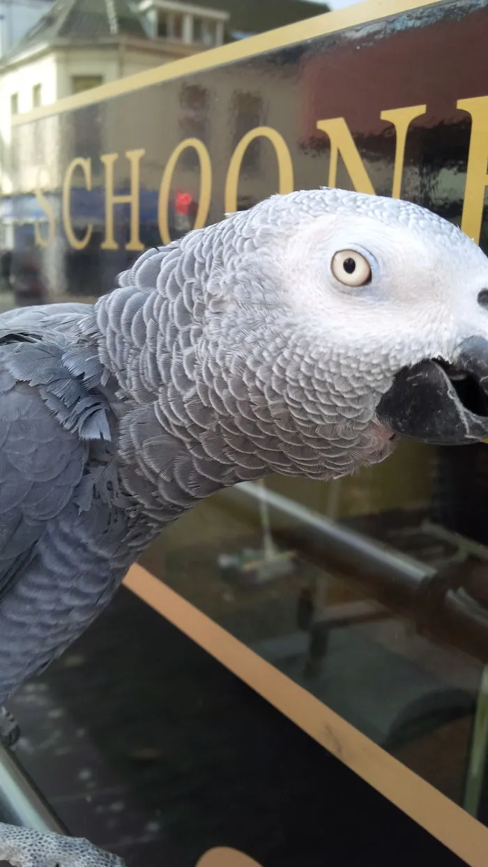 91 Astonished Animals Who Are Freaked Out By What's Happening