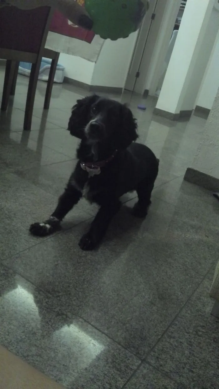 Molly