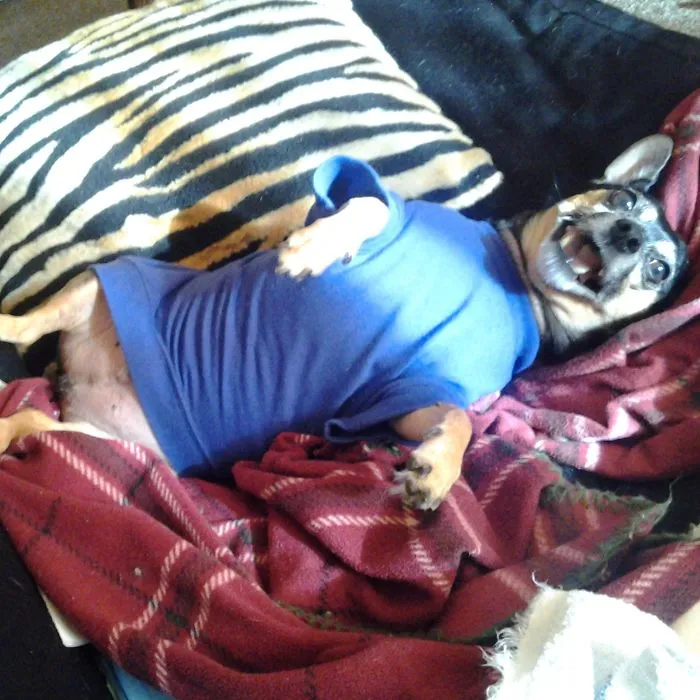 91 Astonished Animals Who Are Freaked Out By What's Happening