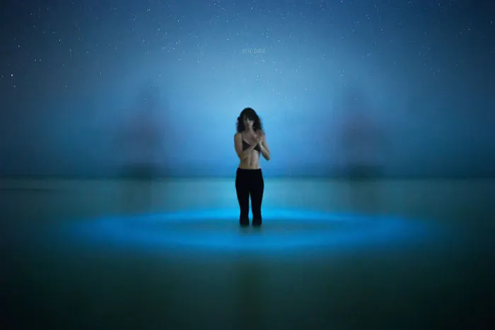 Light-painting With Bioluminescence