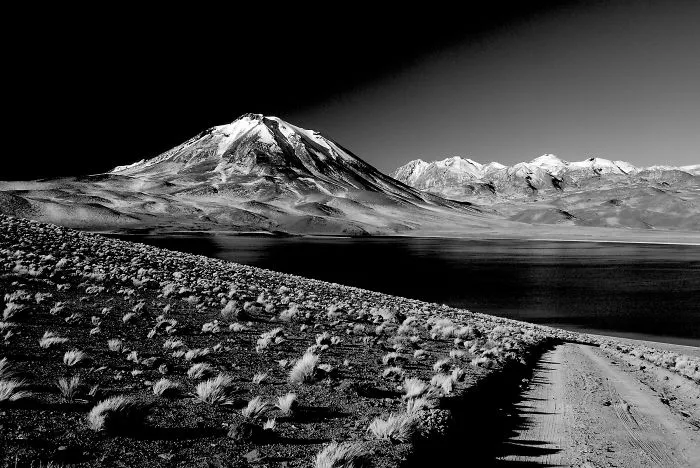 Laguna Miscanti, San Pedro De Atacama, Chile