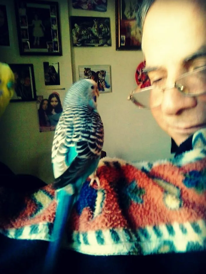 The Bird Whisperer -  The Tale Of My Father And Our Two Parakeets Coconut And Scarlett