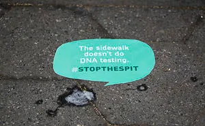 New Yorkers Are Misusing Their Saliva