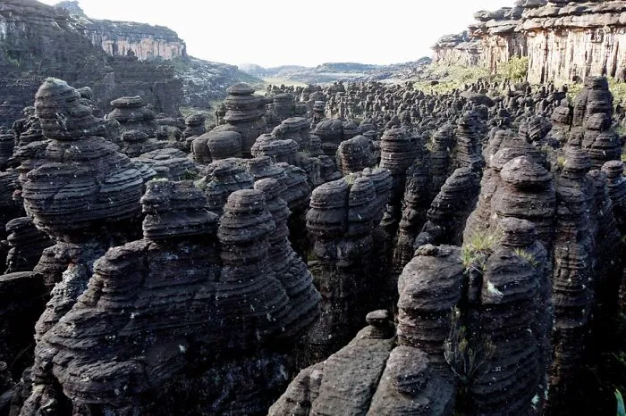 Roraima, Venezuela.