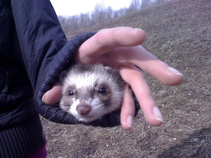 I Have A Trick Up My Sleeve :).