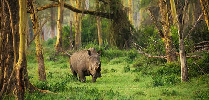 Banten: Ujung Kulon National Park