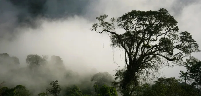 North Kalimantan: Kayan Mentarang