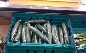 62 Hilarious Advertising Placement Fails