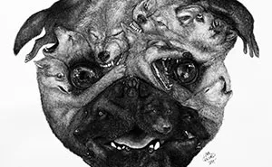 Animal Hybrids Drawn With Charcoal