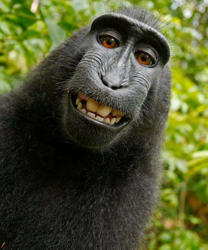Self Portrait